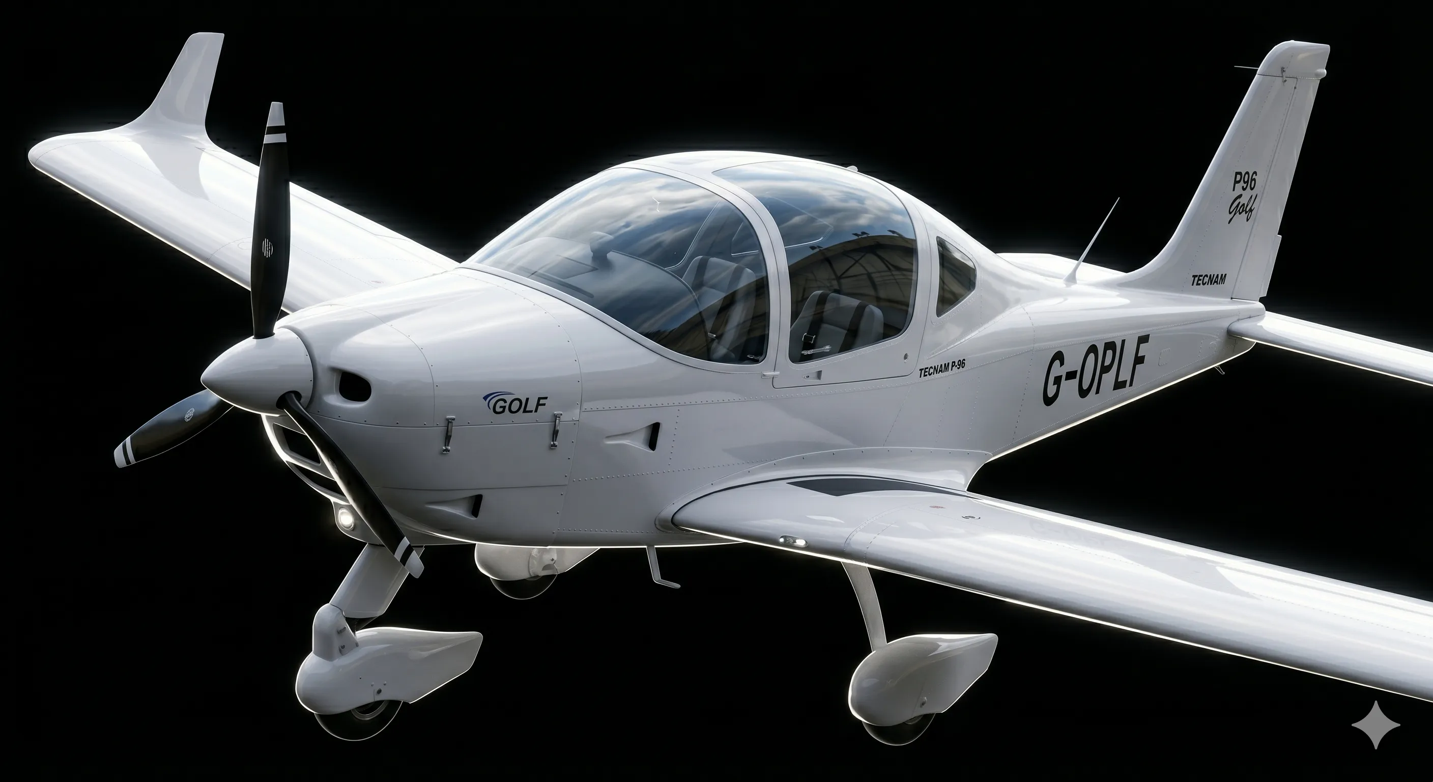 Tecnam P-96
